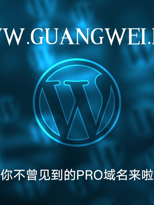 王光卫博客启用guangwei.pro域名