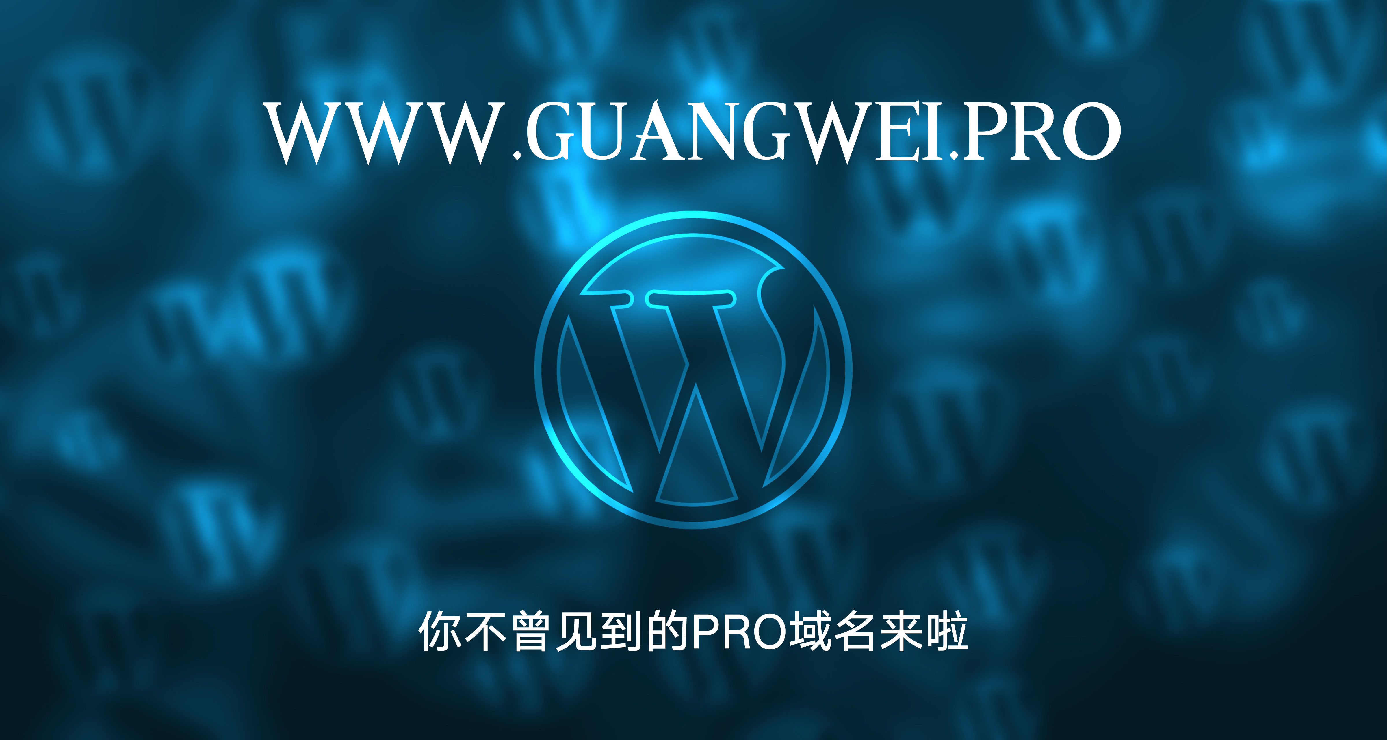 王光卫博客guangweiblog.com