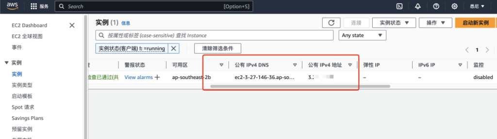 亚马逊公共IPv4 DNS